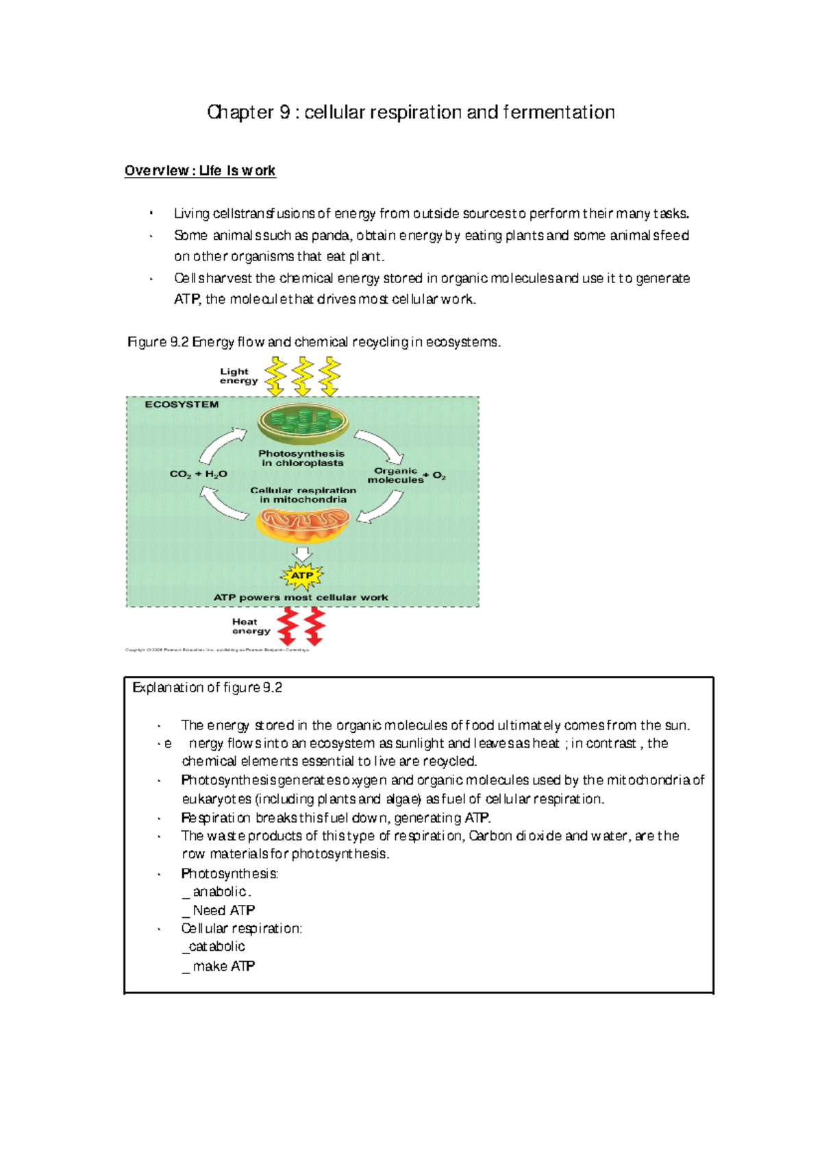Chapter-10-Bio - Lecture notes 10 - Chapter 9 : cellular respiration ...