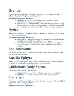 [Solved] Identify a prepared slide of Grantia under a microscope