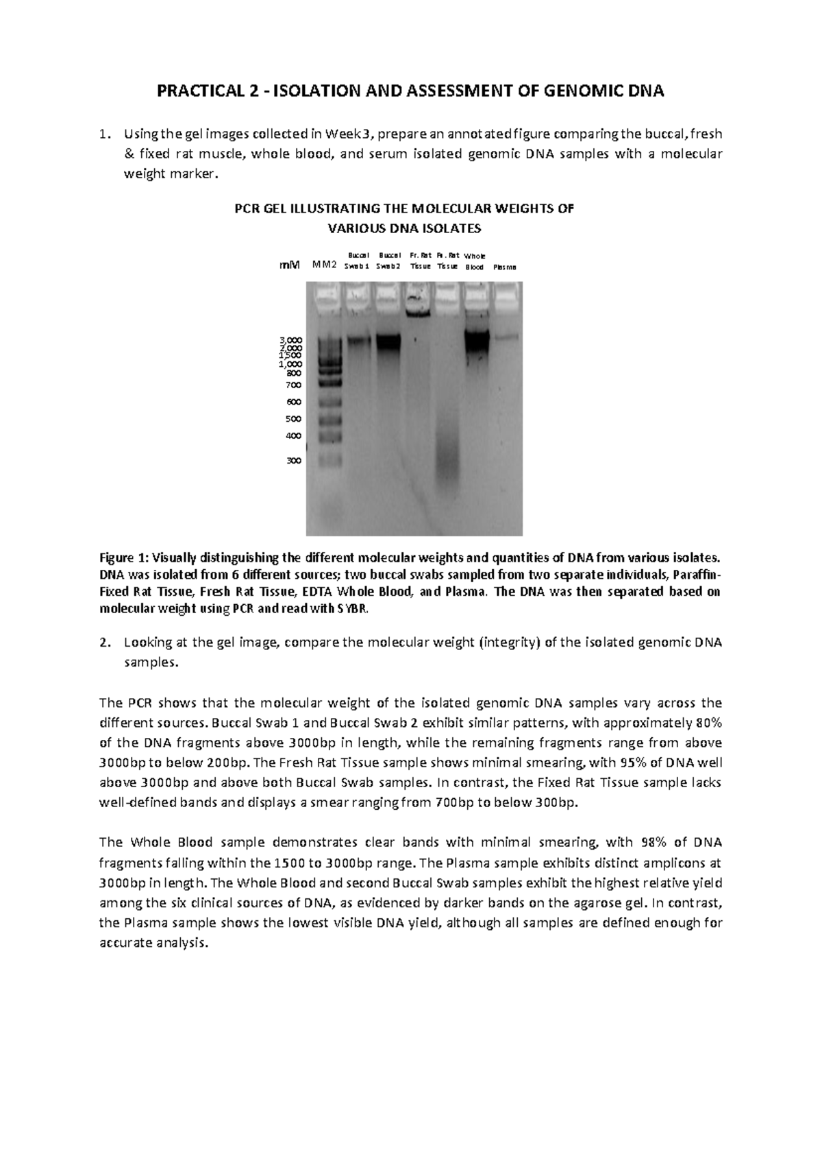 BMS327 Prac2 report - Okay! - PRACTICAL 2 - ISOLATION AND ASSESSMENT OF ...