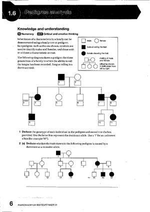 5 - genetics - Studocu