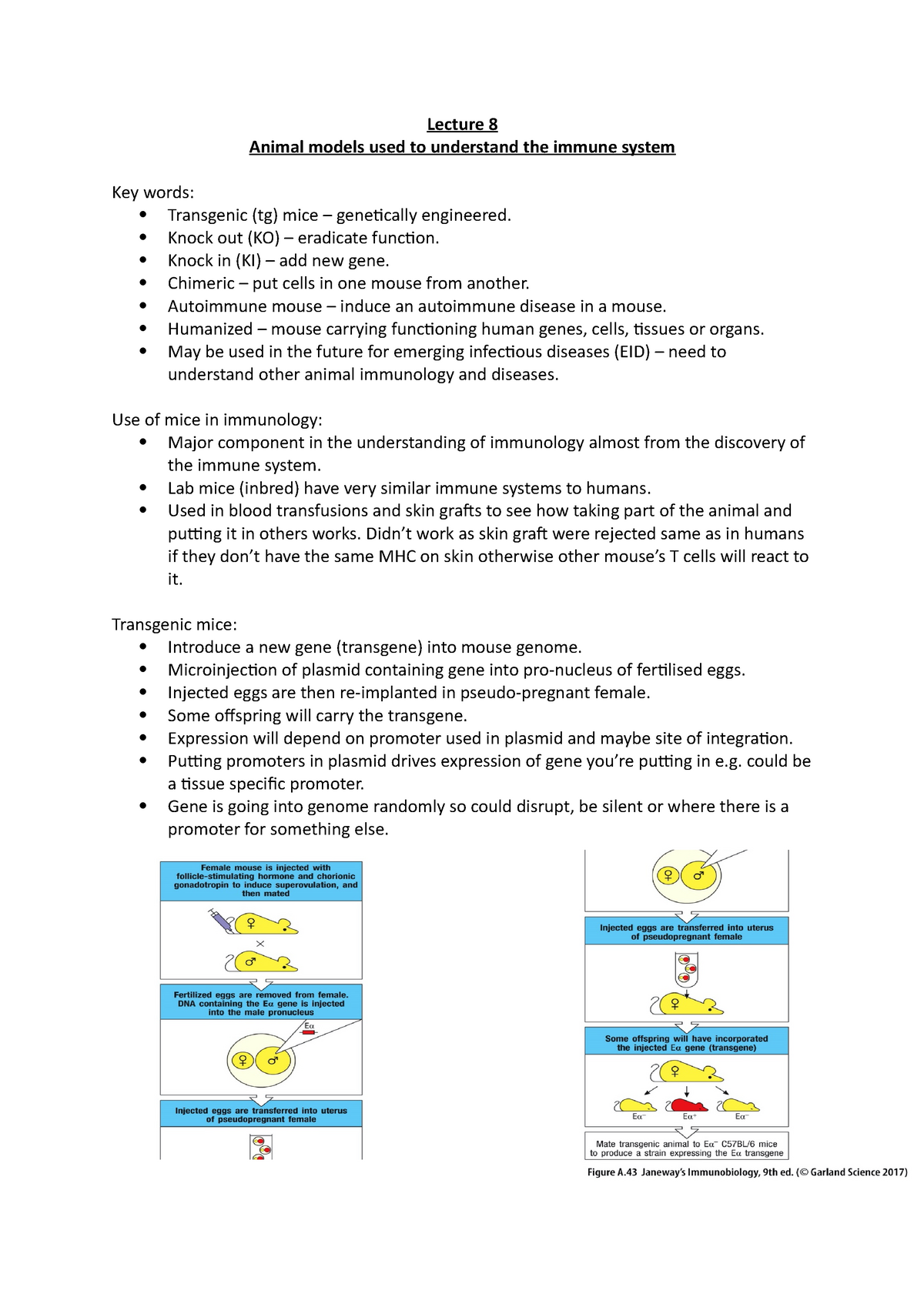 Lecture 8 Animal Models Used To Understand The Immune System Studocu