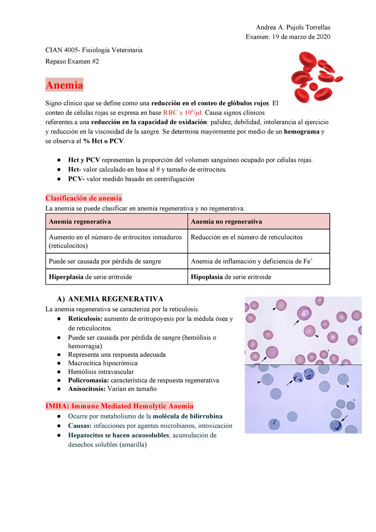 anemie regenerativa)