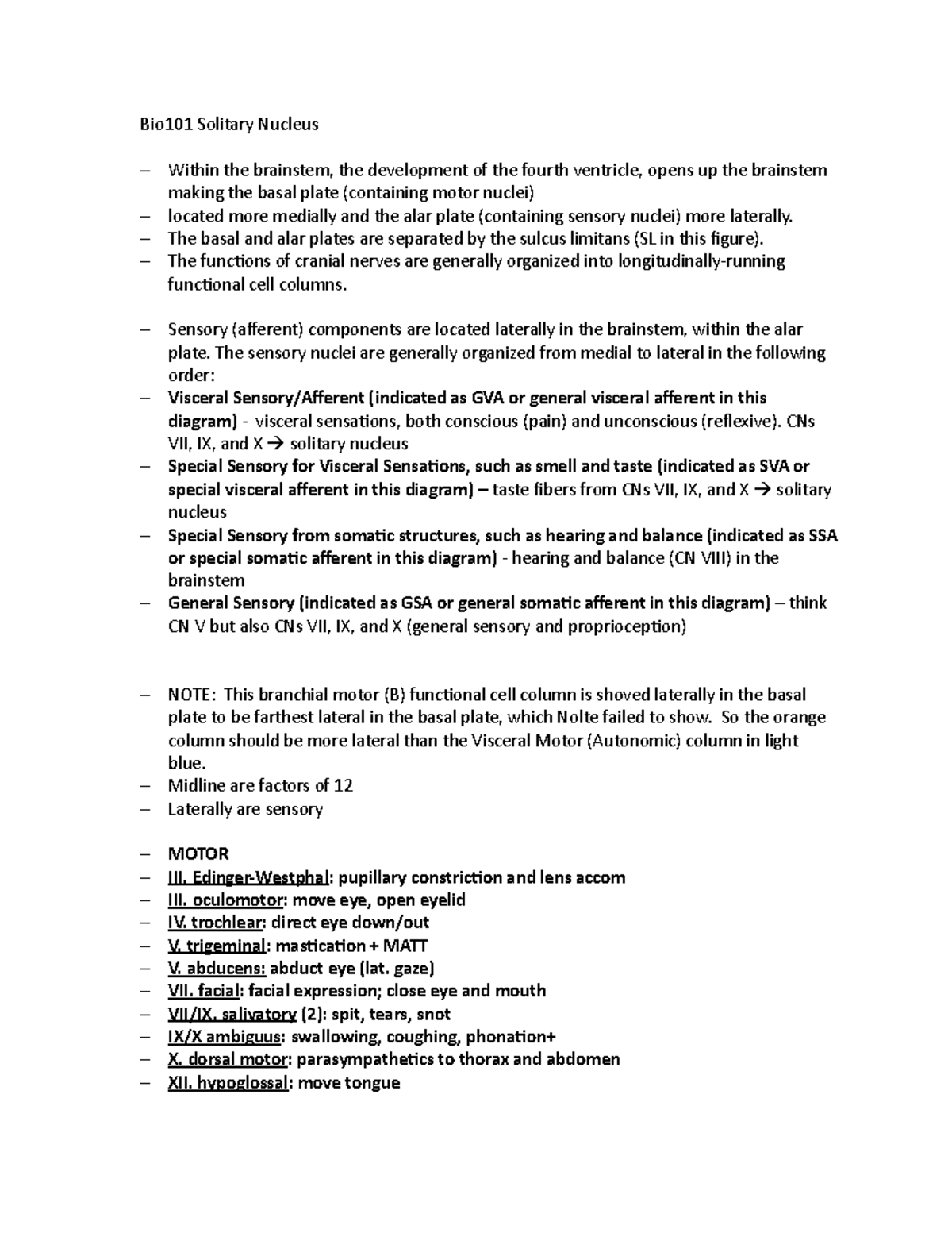 Bio101 Solitary Nucleus - Bio101 Solitary Nucleus Within The Brainstem ...