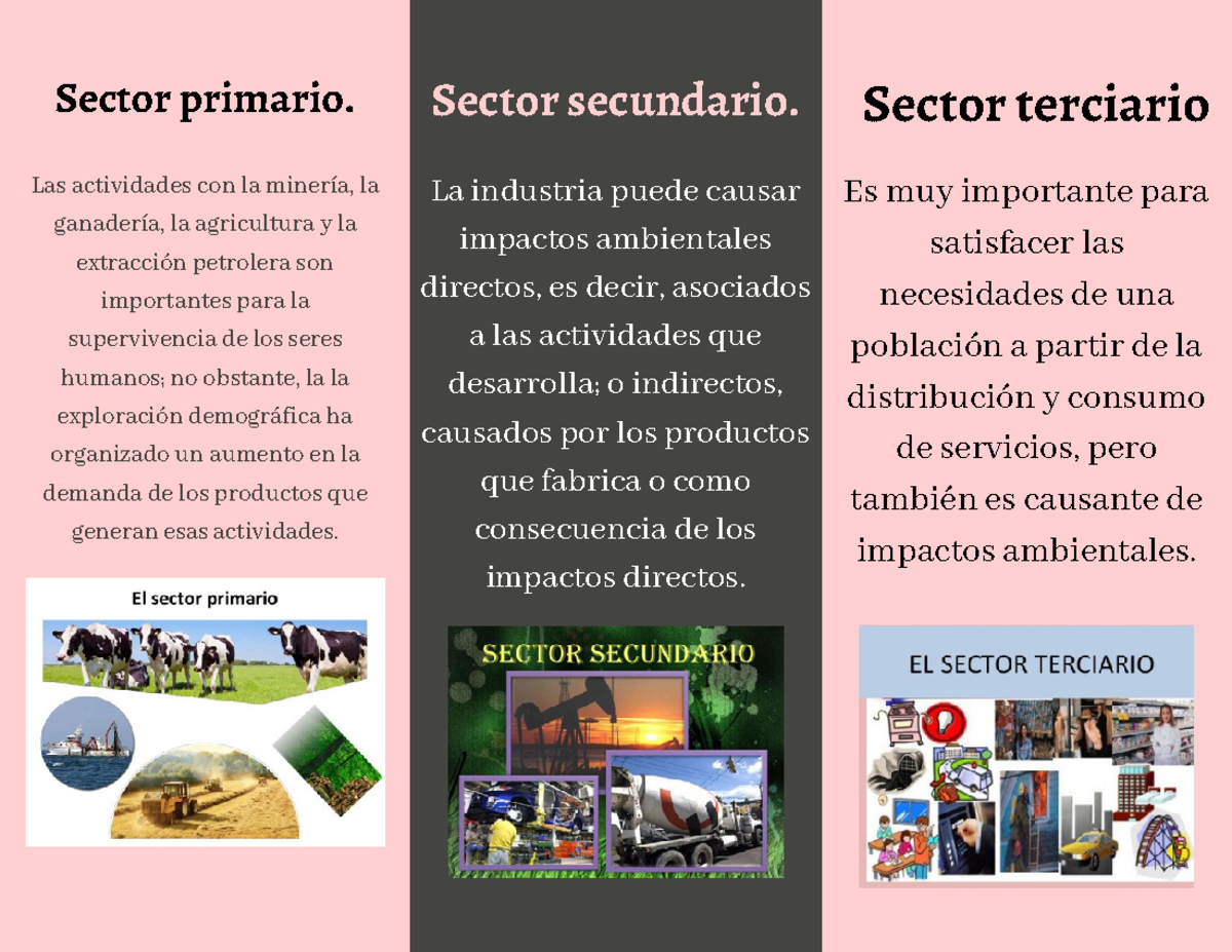 Sectores primarios, secundarios y terciarios - Las actividades con la