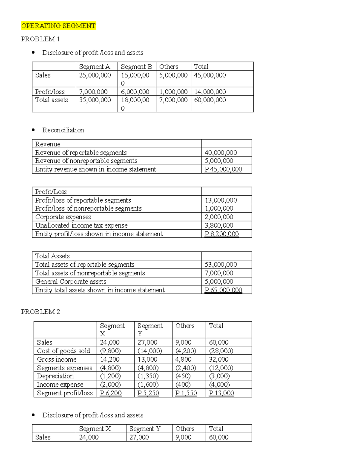 Intermediate Accounting 3 Ansswer - OPERATING SEGMENT PROBLEM 1 ...