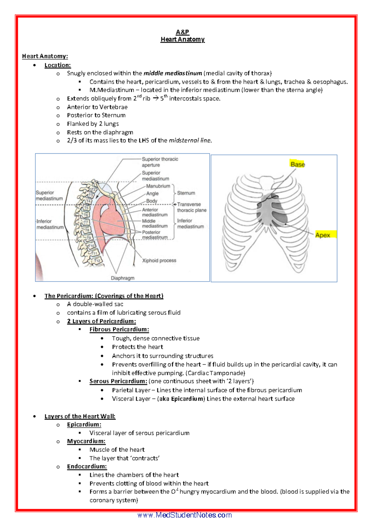 A P - ALL Files IN ONE - ghjk - Week 1 CardioVascular Medicine Notes ...