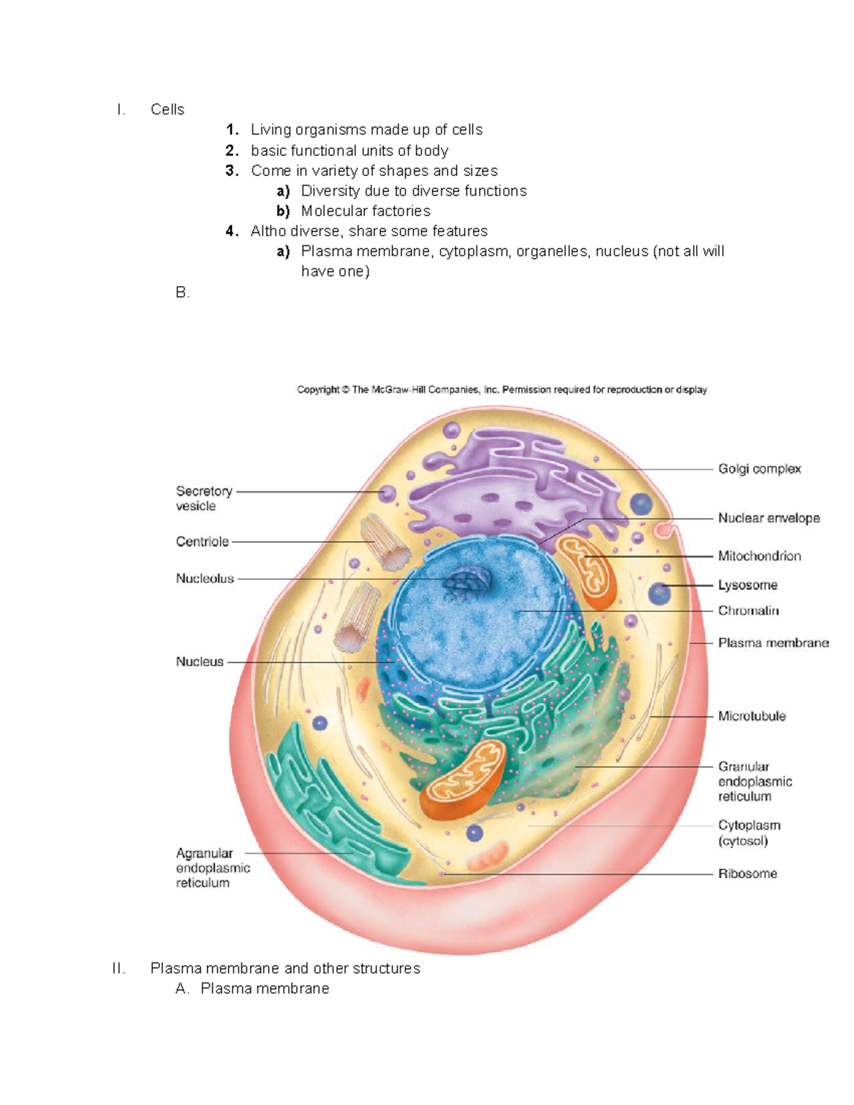 Ch 3.5 Lecture notes 4 I. Cells 1. Living organisms made up of