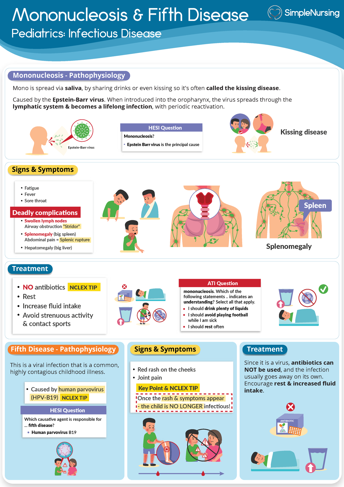 3. Fifth Disease & Mononucleosis - Mononucleosis & Fifth Disease ...