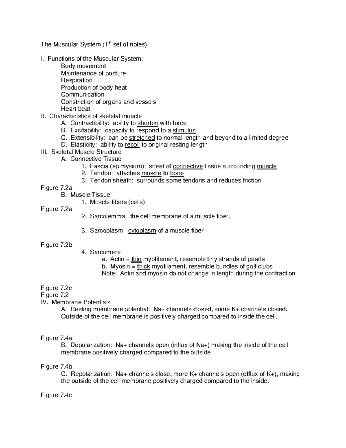 Biol109 Ch7a Lecture Notes - The Muscular System (1st Set Of Notes) I 