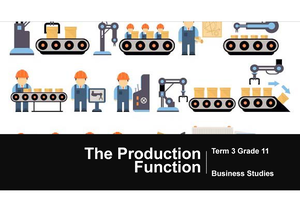 business studies grade 11 production function essay