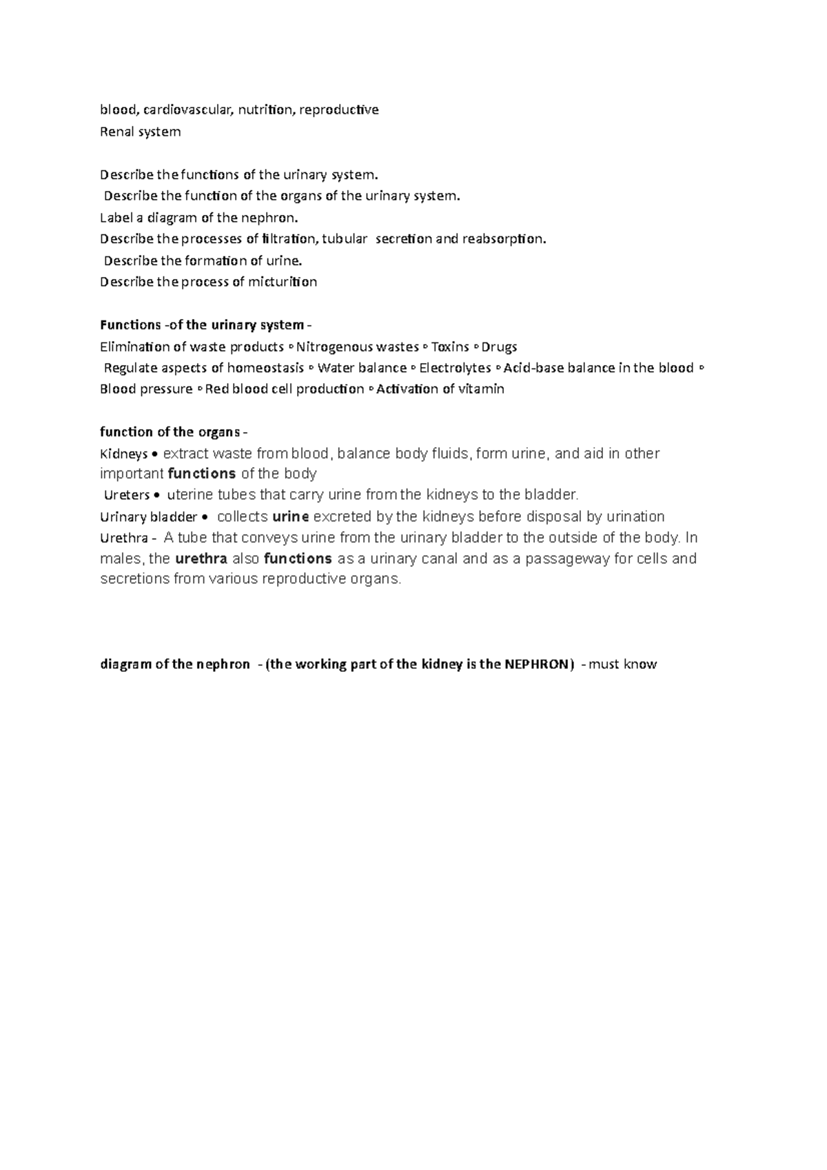 Renal system - Lecture notes 4 - blood, cardiovascular, nutrition ...