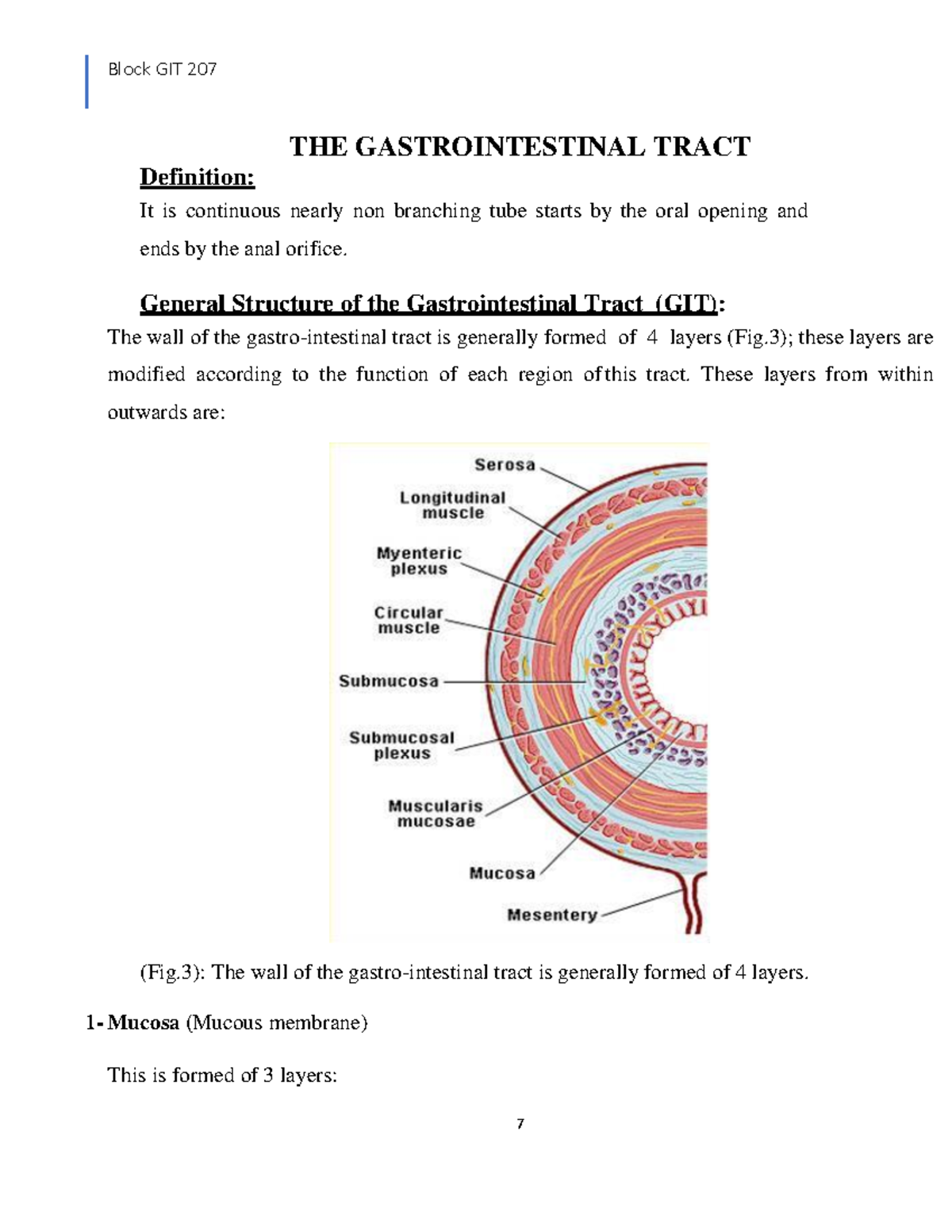 GIT histology-THE Gastrointestinal Tract - Block GIT 207 7 THE ...