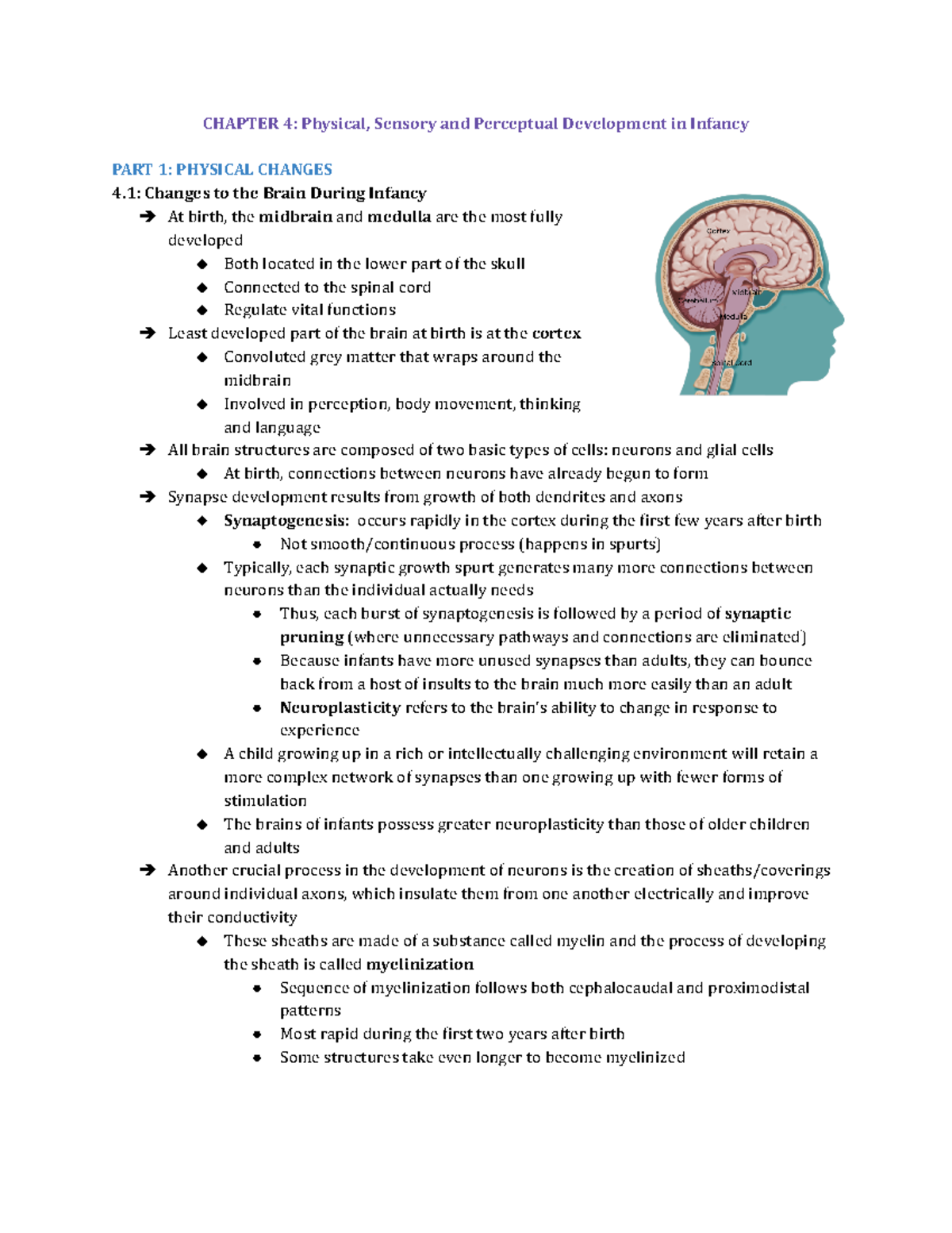 Chapter 4- Physical, Sensory And Perceptual Development In Infancy ...