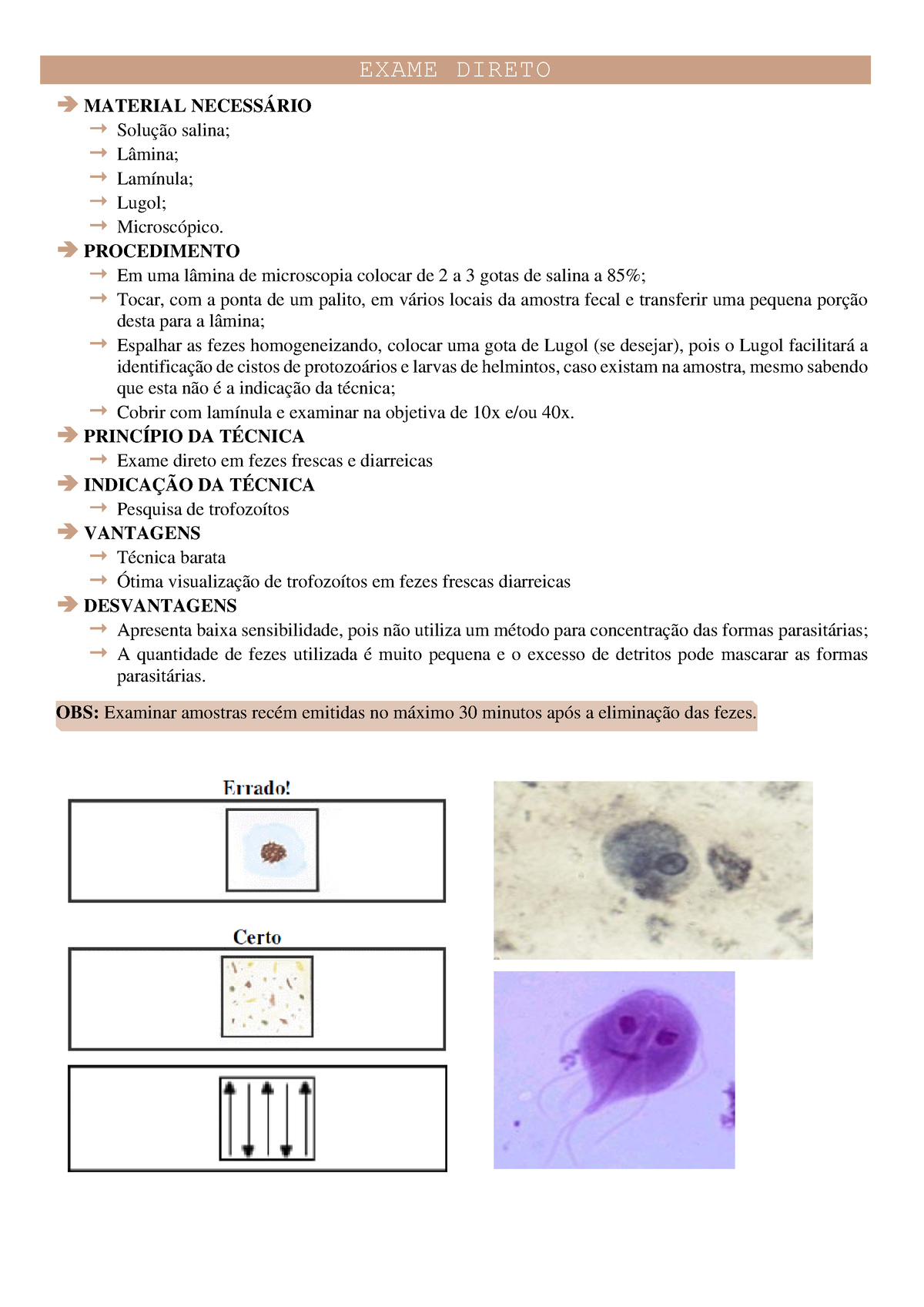 Exame Direto - Parasitologia Clínica - EXAME DIRETO MATERIAL NECESSÁRIO ...