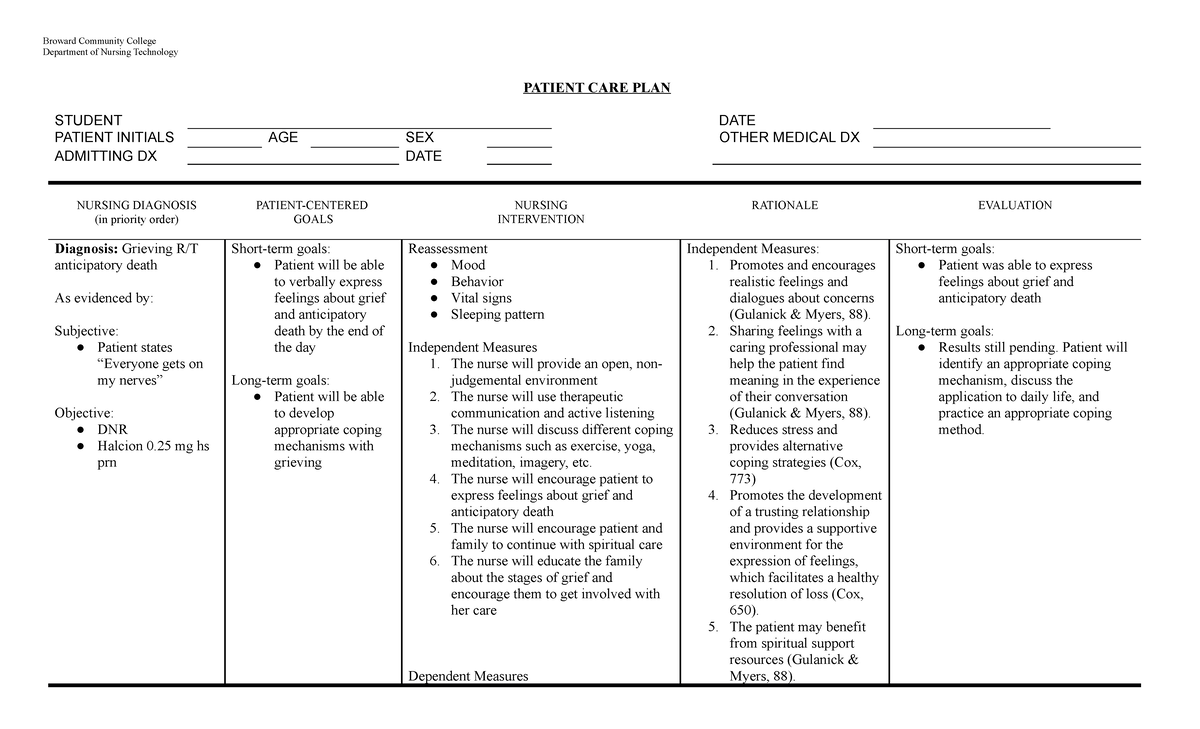 Care Plan Group Assignment - Grieving - Broward Community College ...