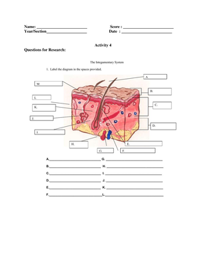 Respiratory System Brochure - The virus can spread from an infected ...