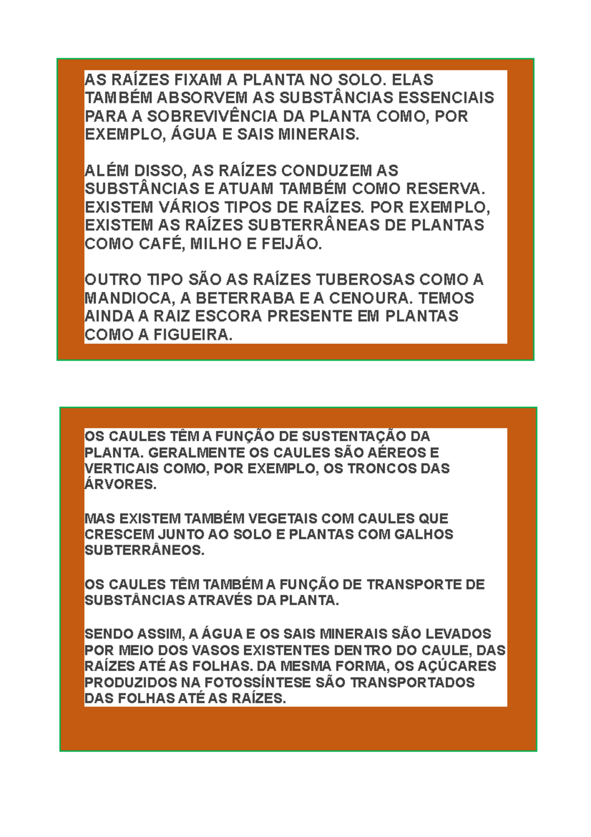 Fixa A Planta No Solo - RETOEDU