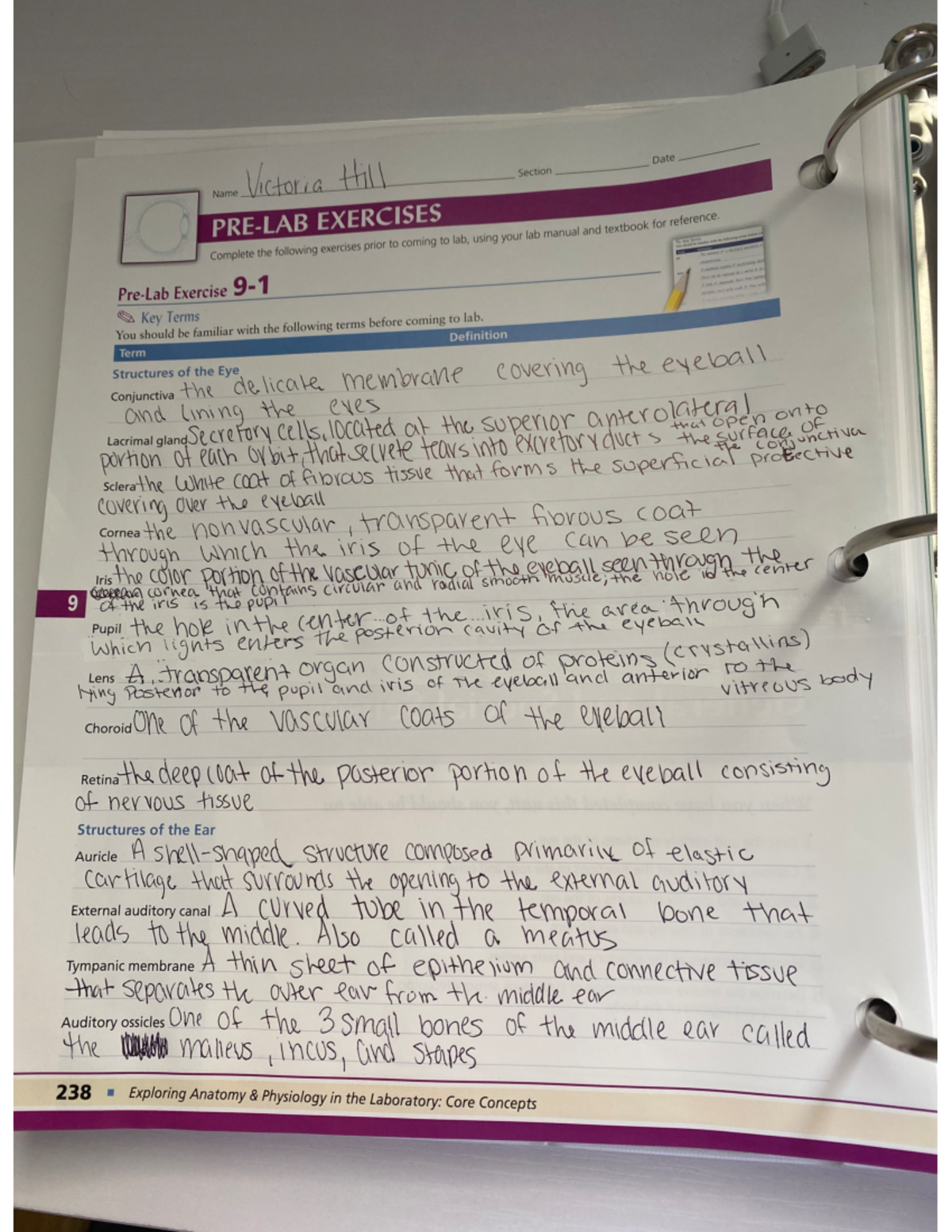 Unit 9 pdf - workbook answer - B EXERCISES nd textbook for reference ...