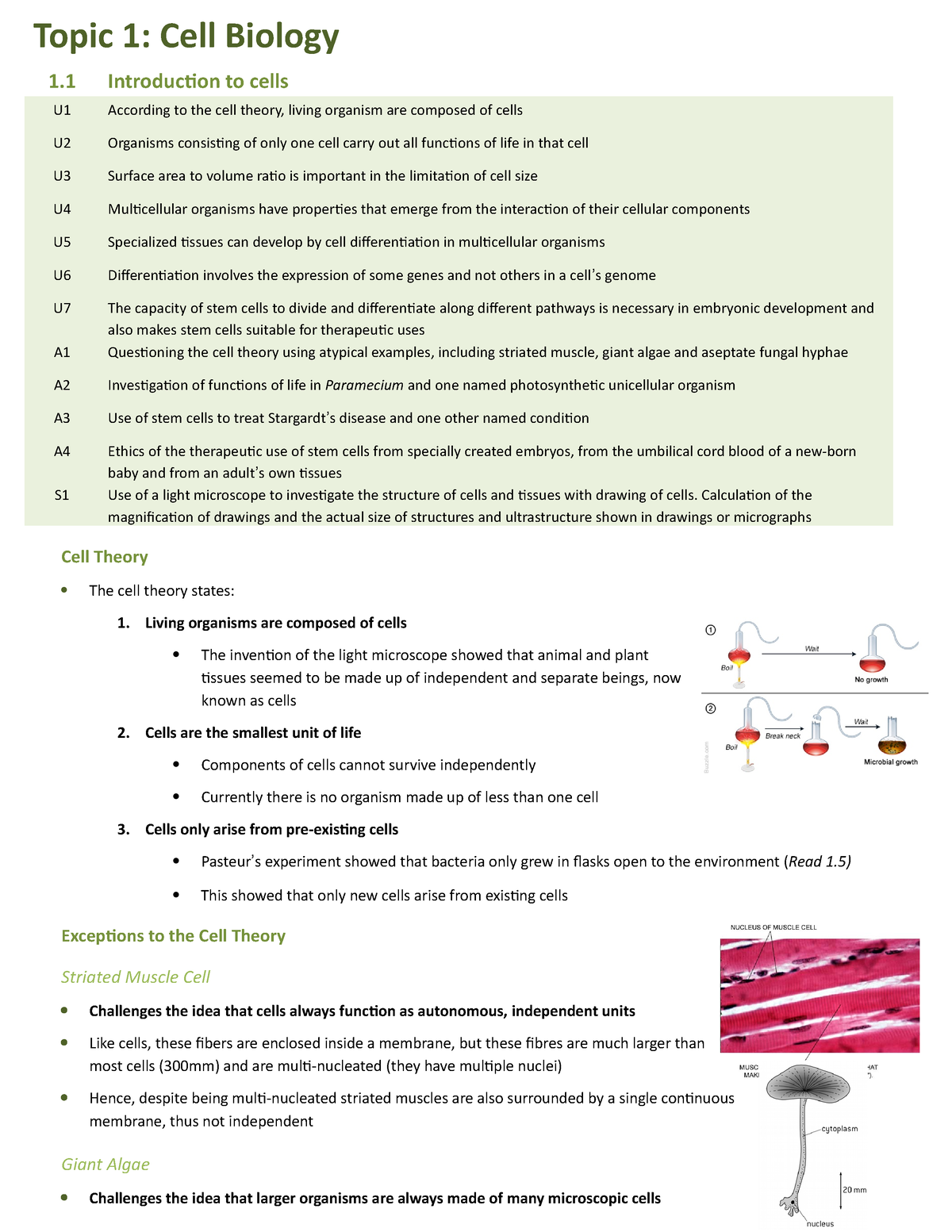 Topic 1 Cells Summarised Topic 1 Cell Biology 1 Introduction To Cells U1 According To The 1566