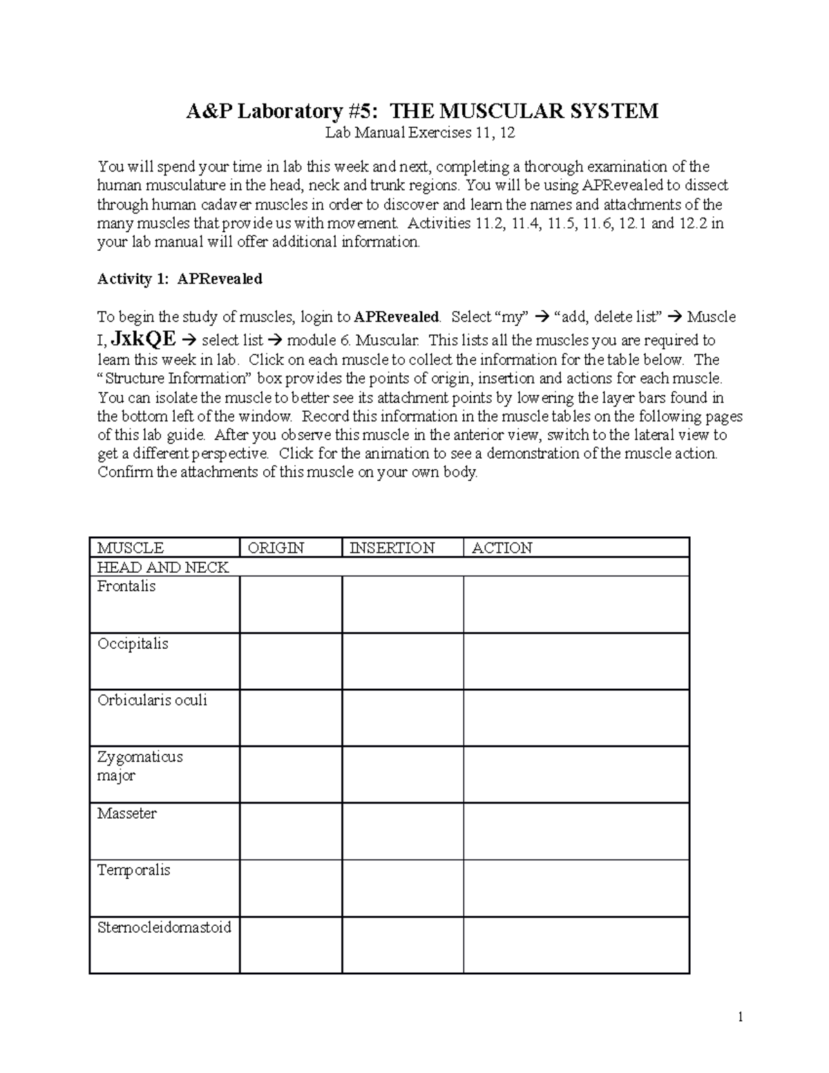 Lab 5- Muscle I Campus And Online 1 - A&P Laboratory #5: THE MUSCULAR ...