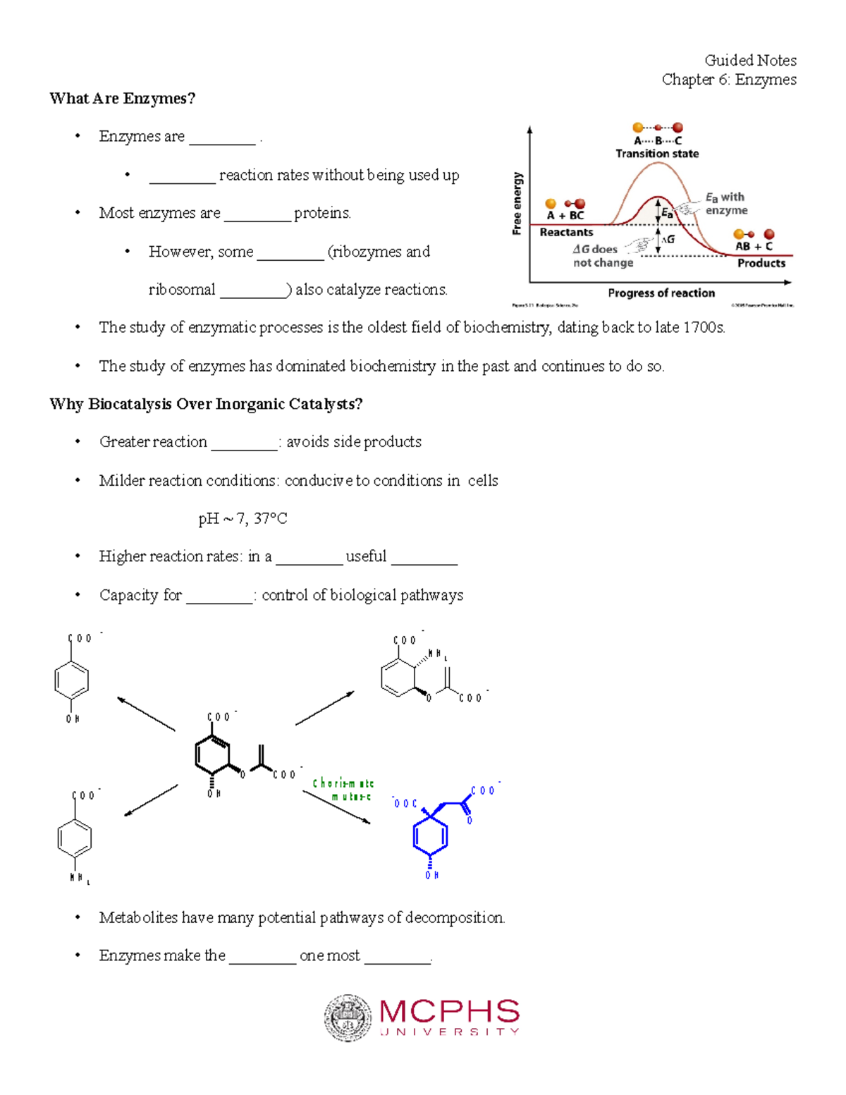 PSB331 Chapter 6 Enzymes Guided Notes-1 - Chapter 6: Enzymes What Are ...