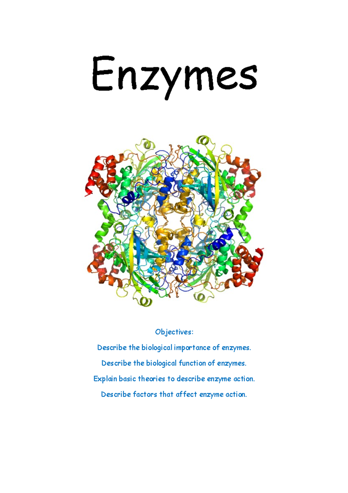 enzymes-worksheet-summary-human-biology-enzymes-objectives