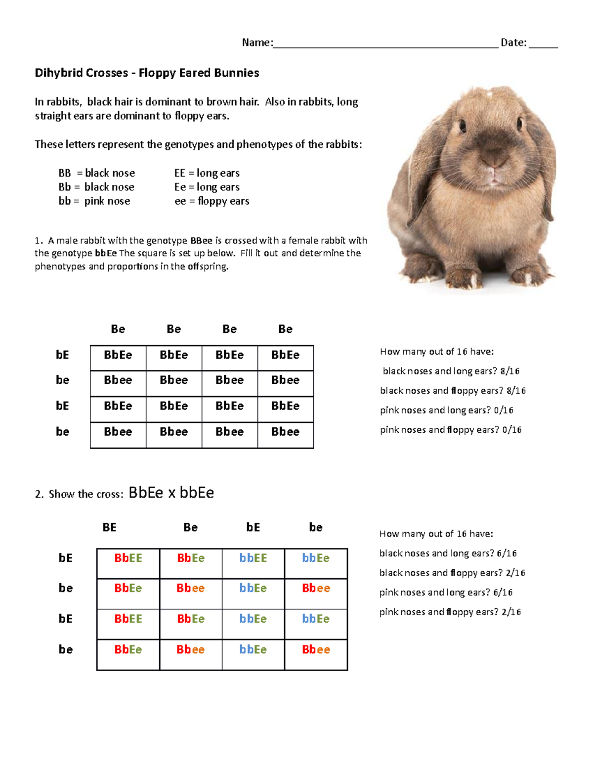 Tisovn - Did you know. A rabbit's ears serve two key functions