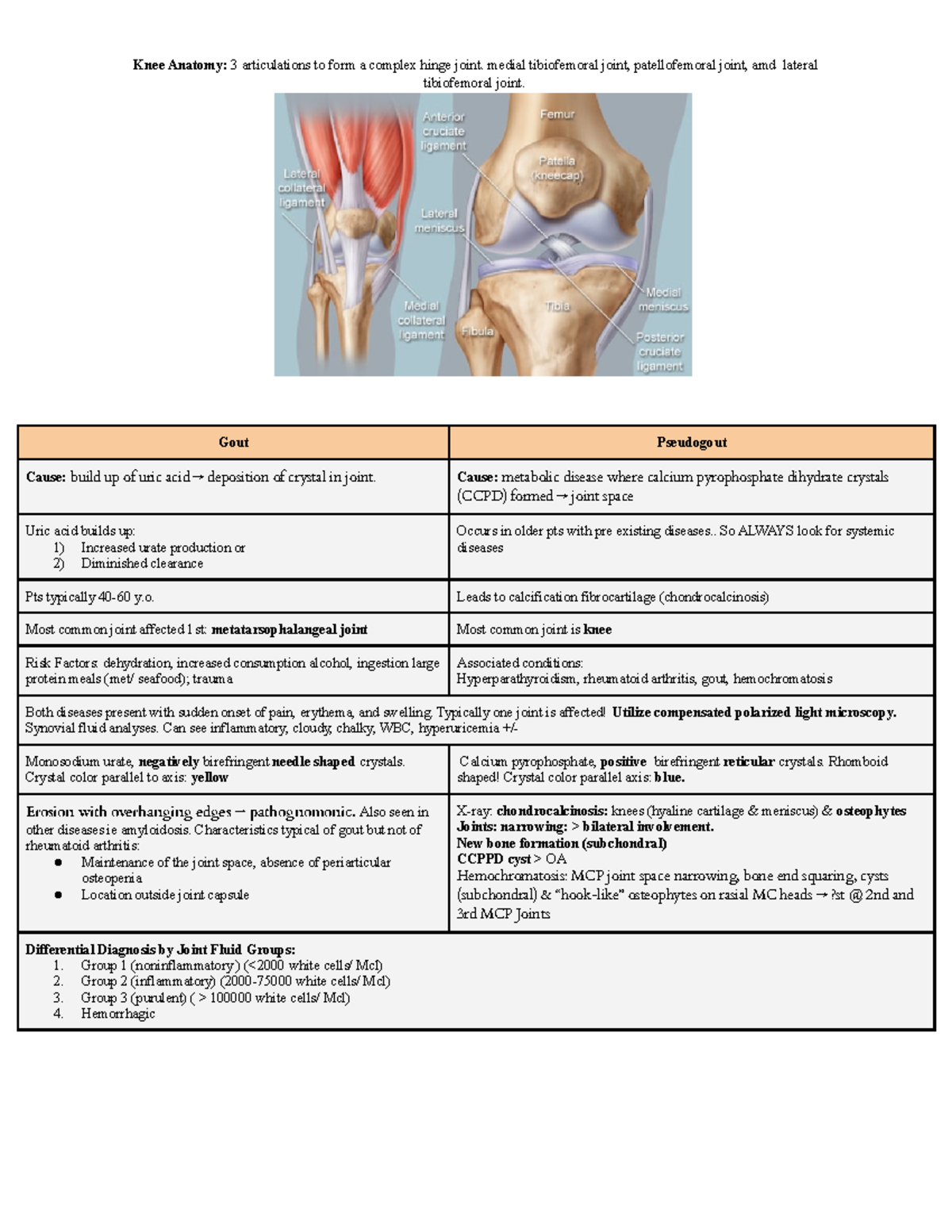 Knee - Lecture notes knee lecture - Knee Anatomy: 3 articulations to ...