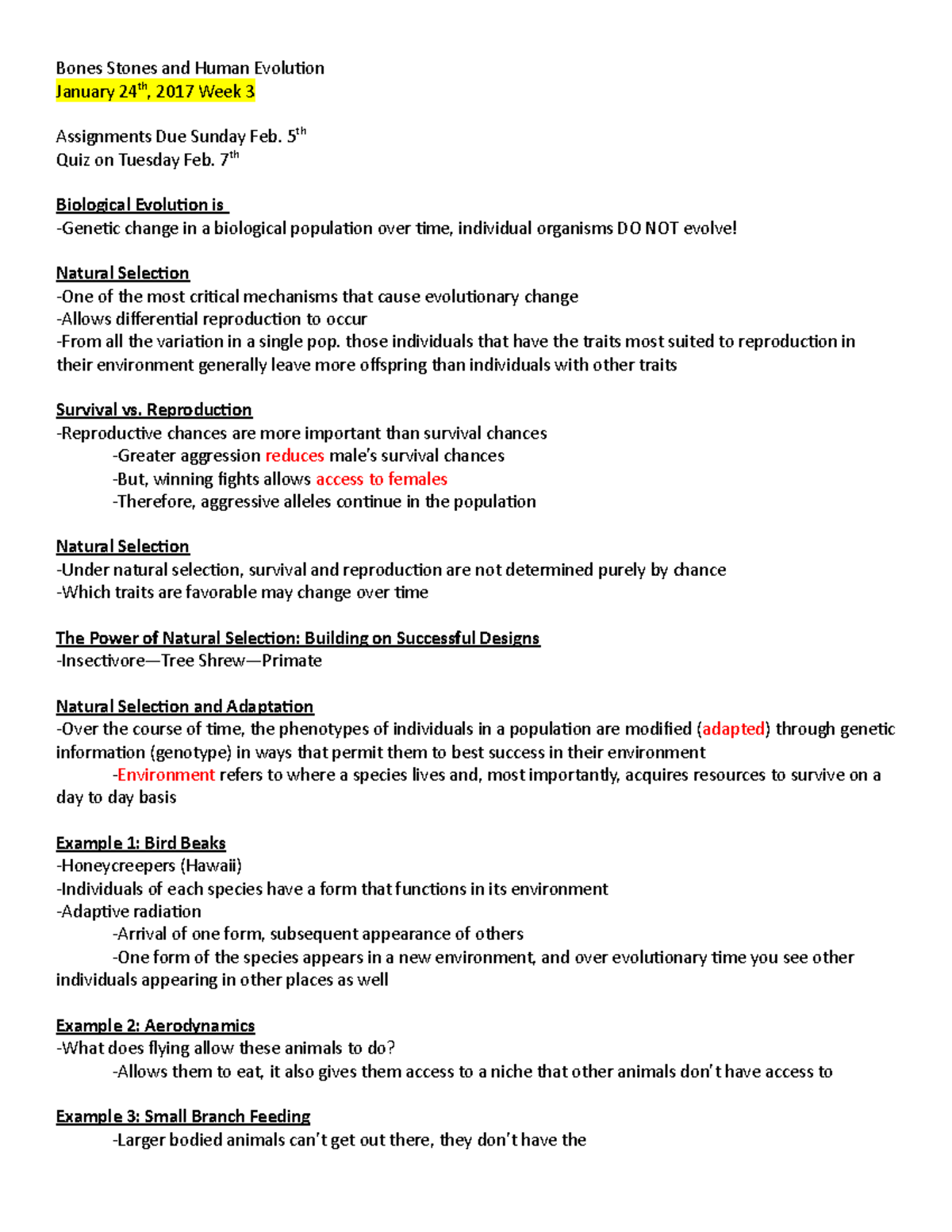 Bones W3 - Lecture notes 3 - Bones Stones and Human Evolution January ...