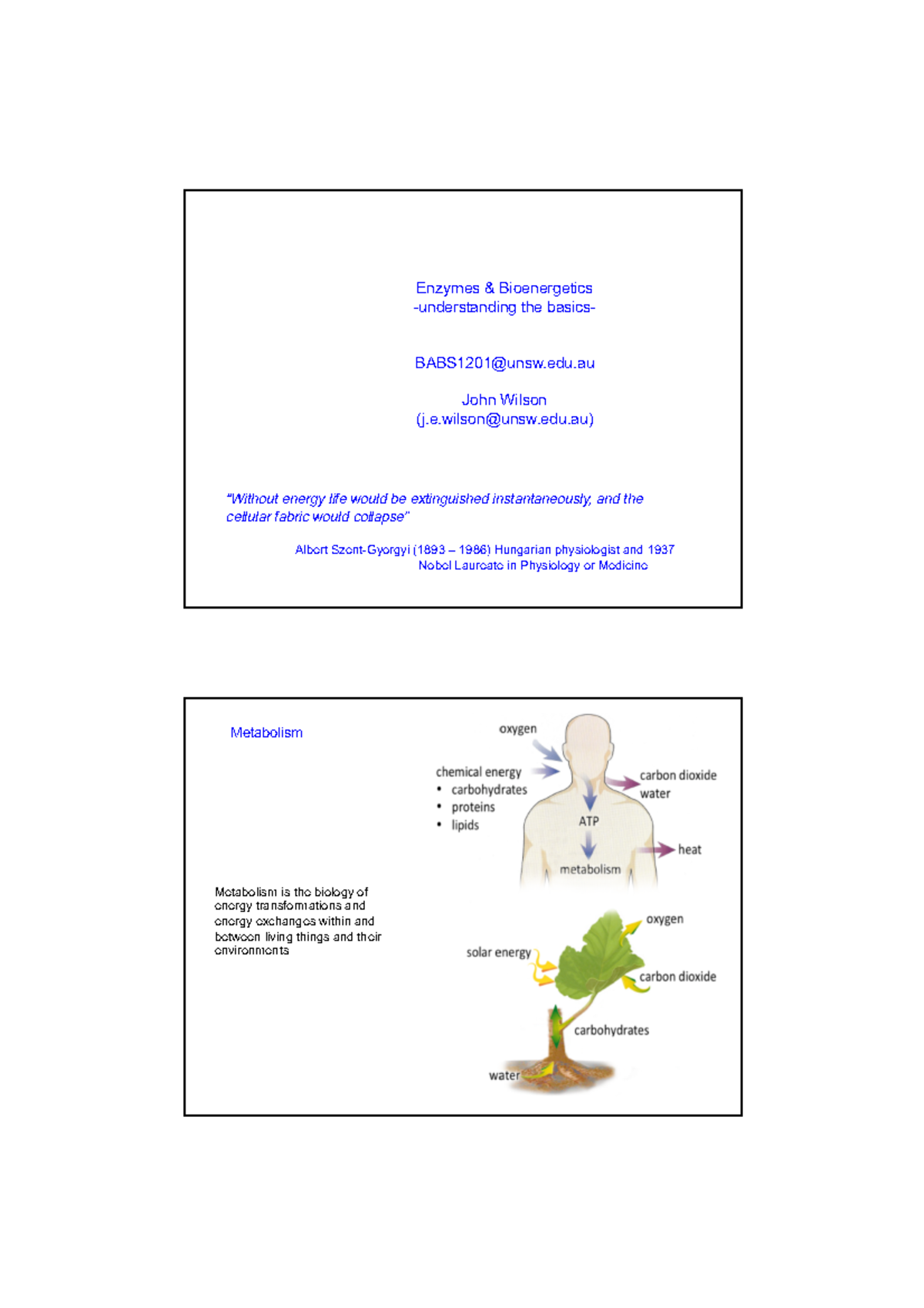 BABS1202 Revision Enzymes Bioenergetics - Enzymes & Bioenergetics ...