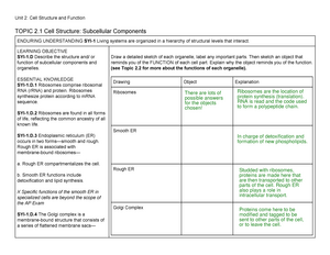 Human Karyotyping Gizmo - Name: Date: 5/19/ Student Exploration: Human ...