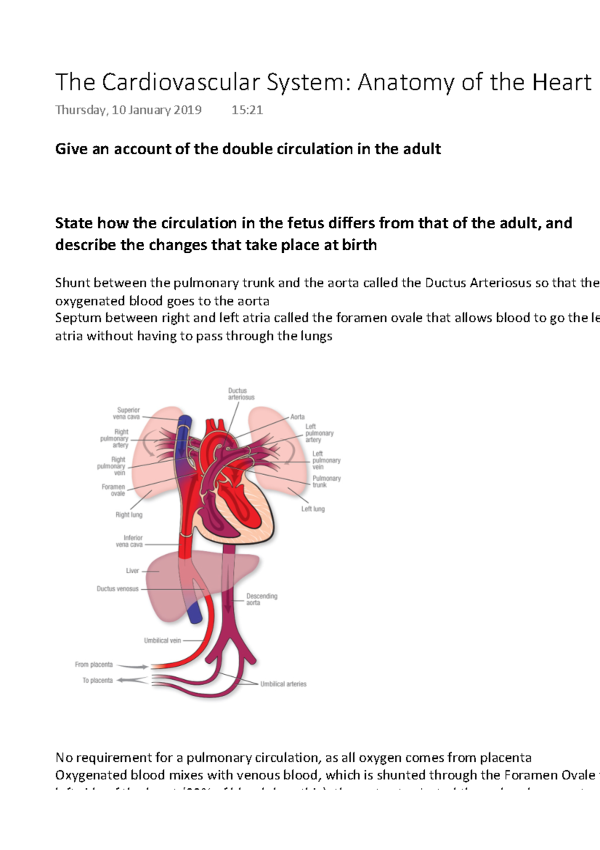 The Cardiovascular System Anatomy of the Heart 1 - Give an account of ...