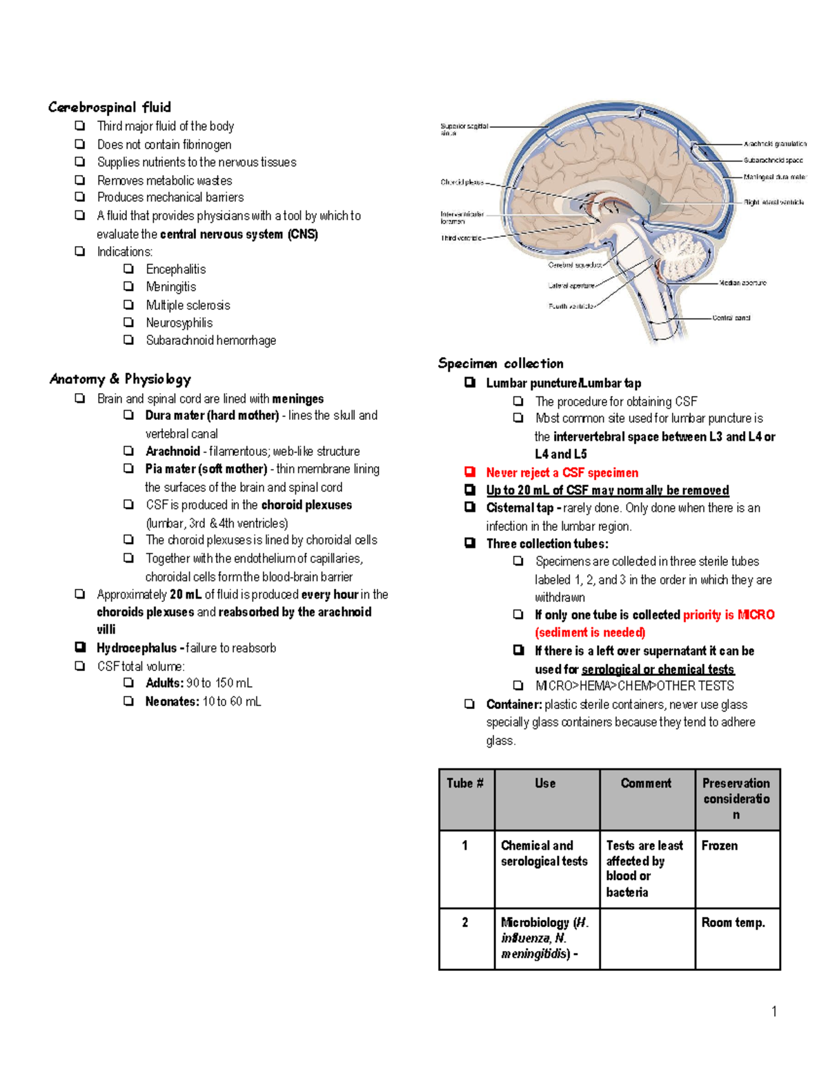 Cerebrospinal fluid lecture notes - **Cerebrospinal fluid ** Third ...