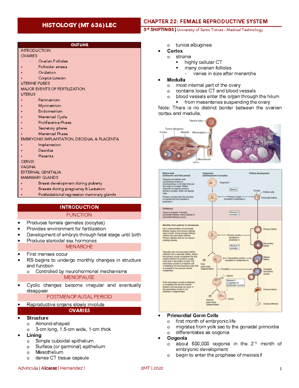 Histology 22 - Female Reproductive System - HISTOLOGY (MT 636) LEC ...