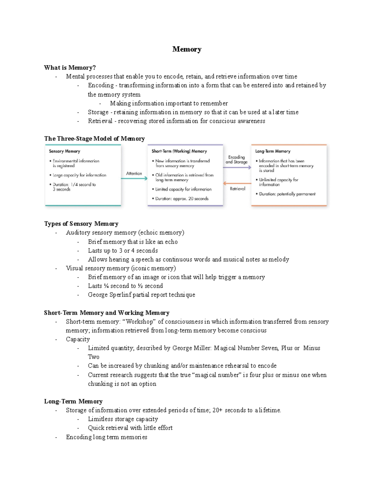 short-vs-long-term-memory-how-does-memory-work-welltuned-by-bcbst