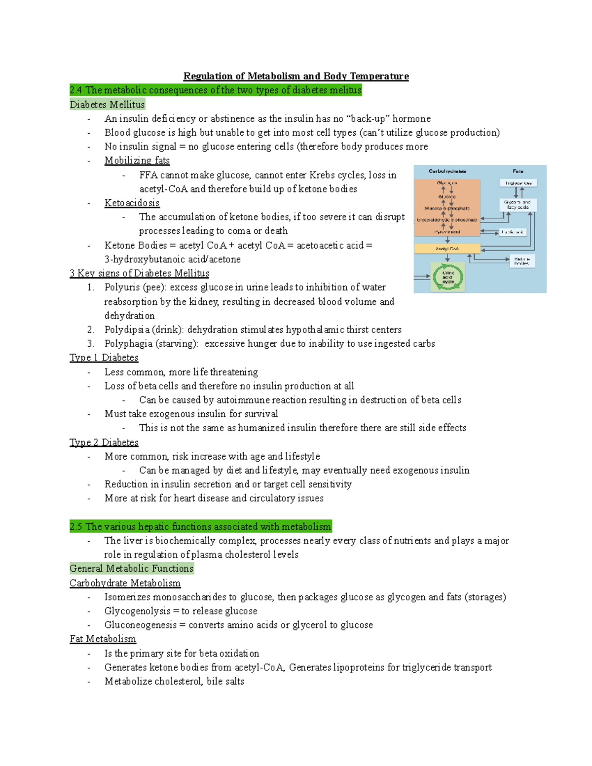 ANP1107 Midterm 2 - Regulation Of Metabolism And Body Temperature 2 The ...