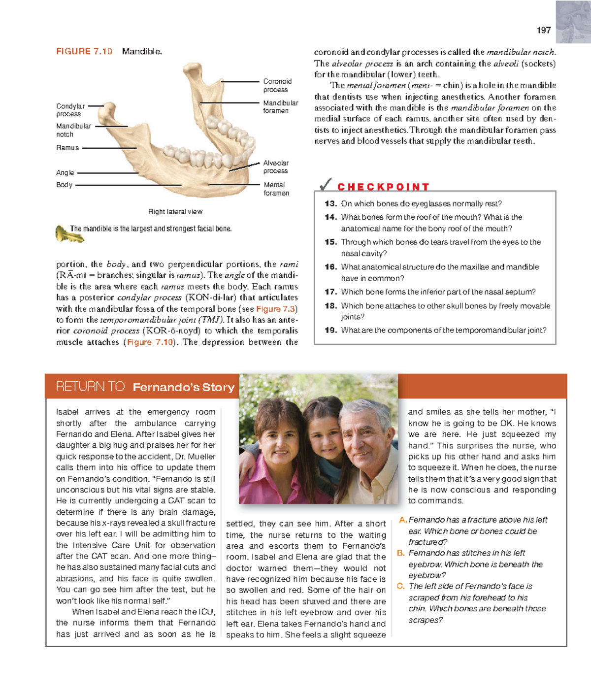Anatomyandphy-83 - N/A - ####### 197 coronoid and condylar processes is ...