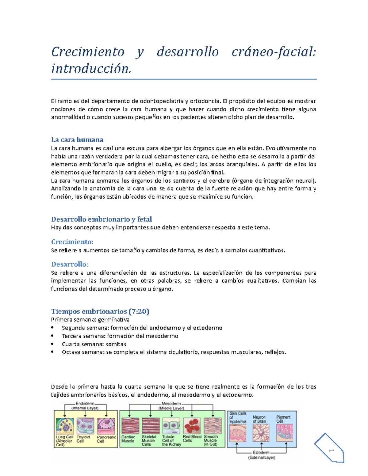 Crecimiento Y Desarrollo Craneofacial Crecimiento Y Desarrollo Cr neo 