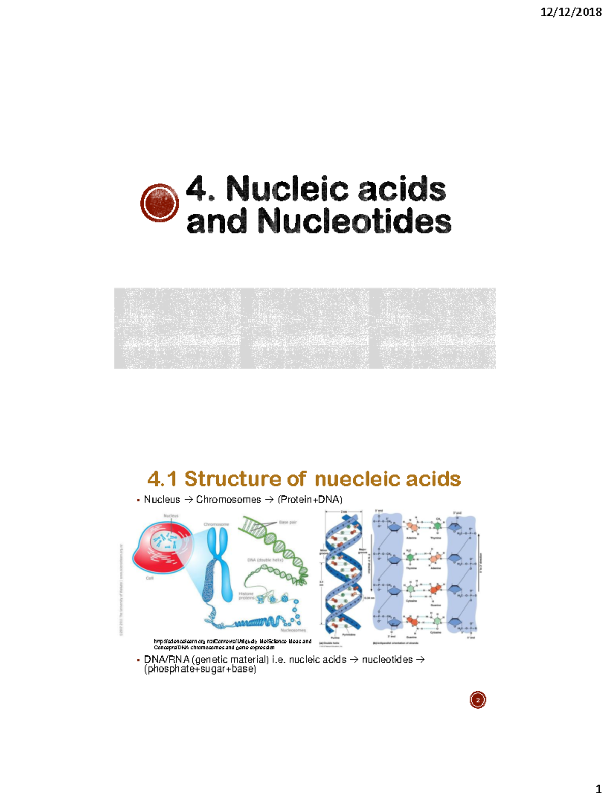 Ch E 471 Lecture 4 Nucleic Acids BME S - 4 Structure of nuecleic acids ...