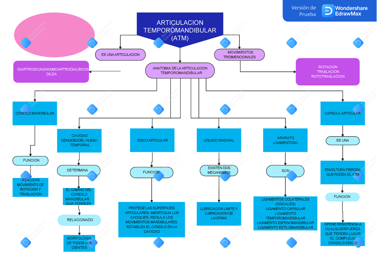 Mapa conceptual ATM anatomia humana - ES UNA ARTICULACION ARTICULACION  TEMPOROMANDIBULAR (ATM) - Studocu