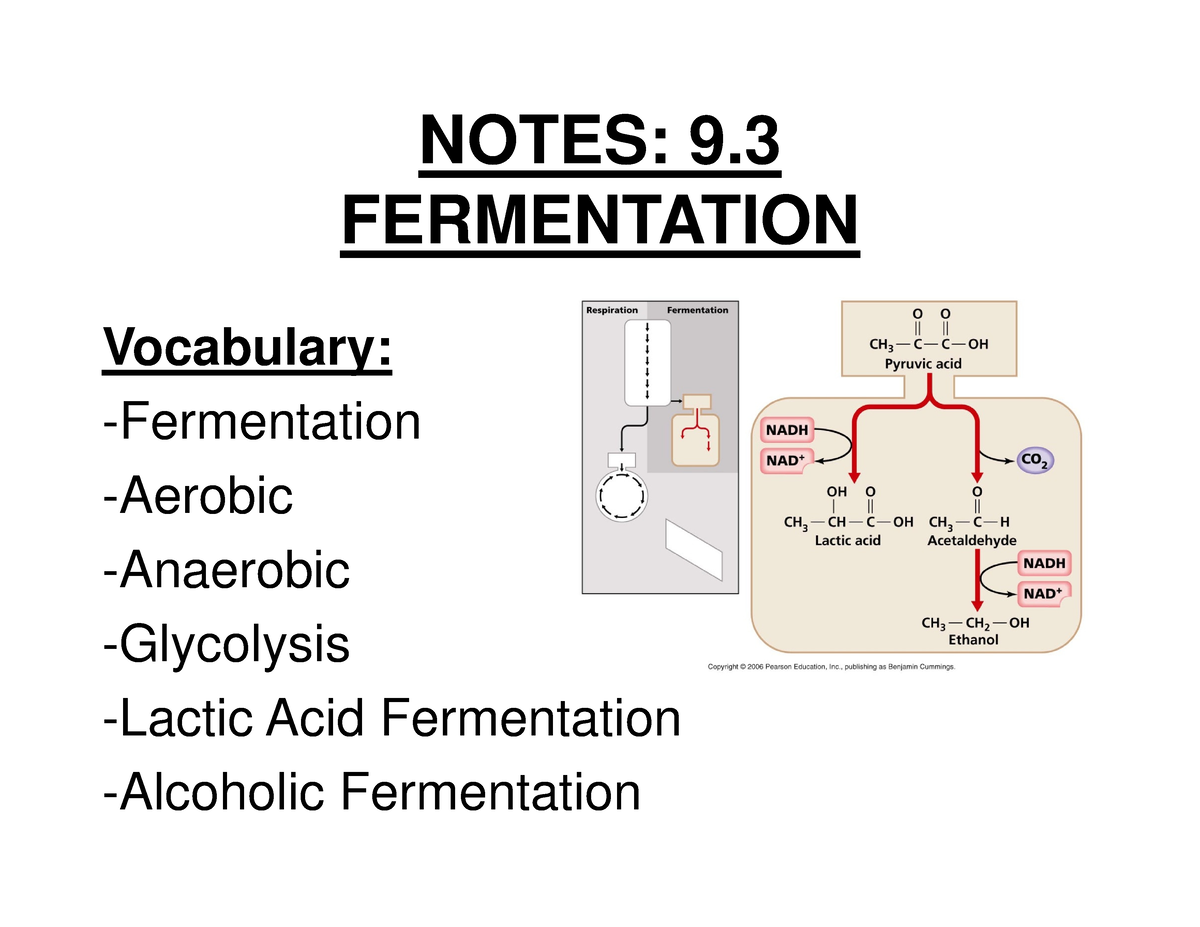Fermentation PPT NEW NOTES 9 FERMENTATION Vocabulary Fermentation Aerobic Anaerobic 