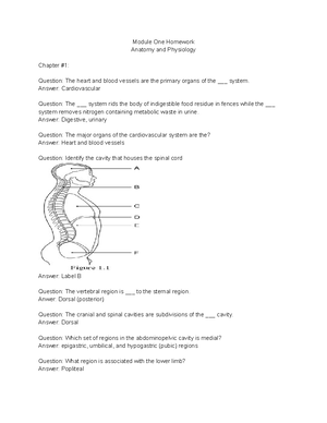 8-1 Mastering A And P Lab Module Eight Homework - Grading Policy ...