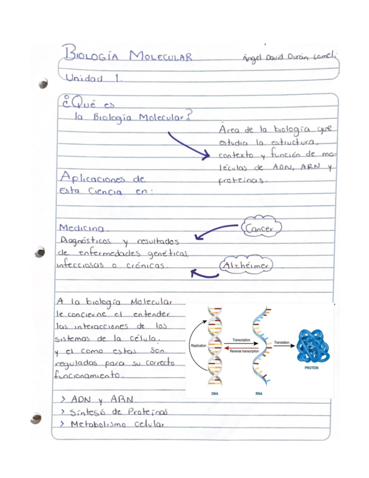 Biomol Unidad 1. - Resumen Biología molecular - Studocu