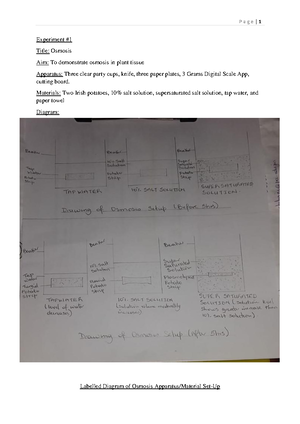 HSB SBA Chantelle Cooper - CARIBBEAN EXAMINATION COUNCIL CARIBBEAN ...