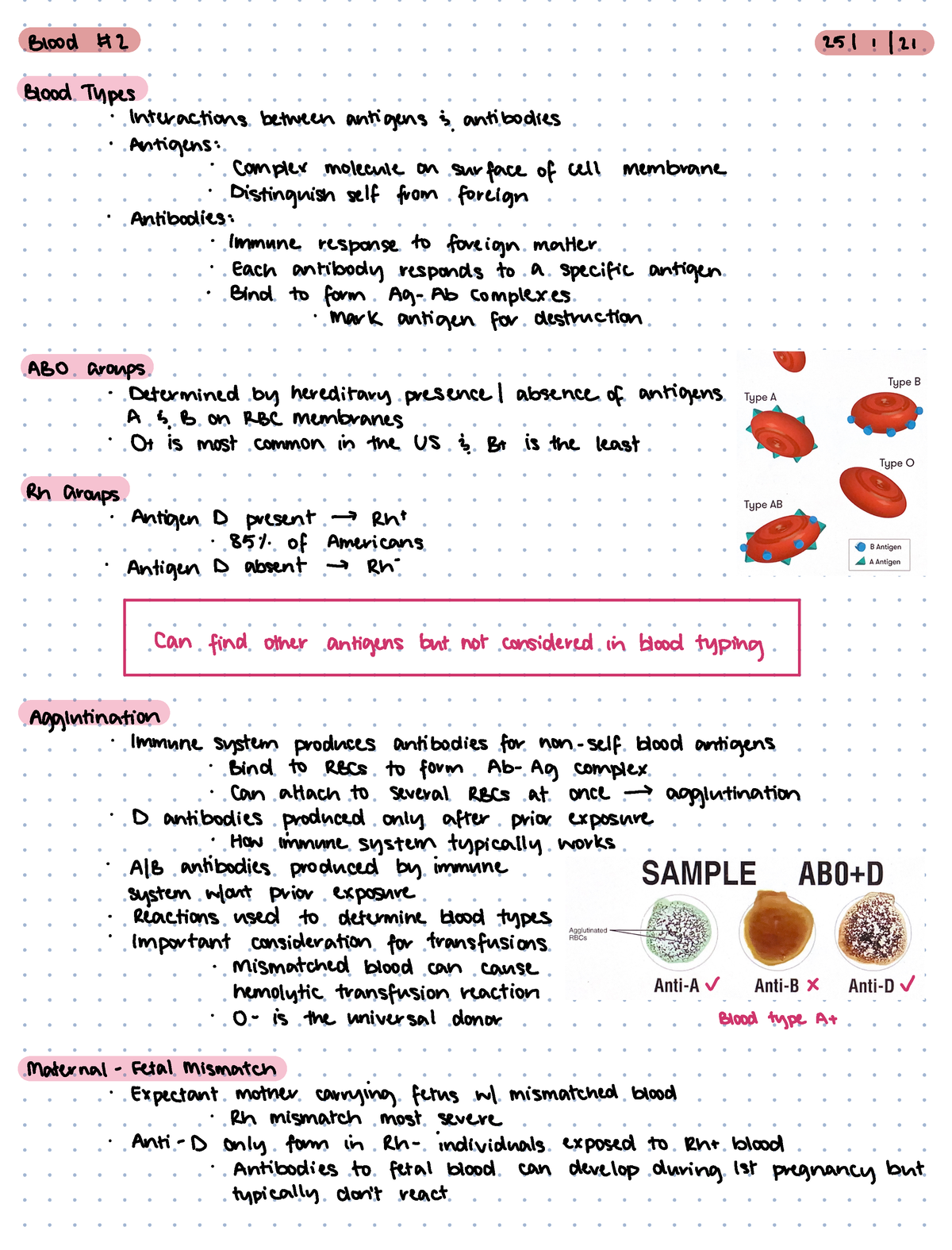 BIOL 2219 Week 2 - Integrated Anatomy And Physiology 2219 With Prof ...