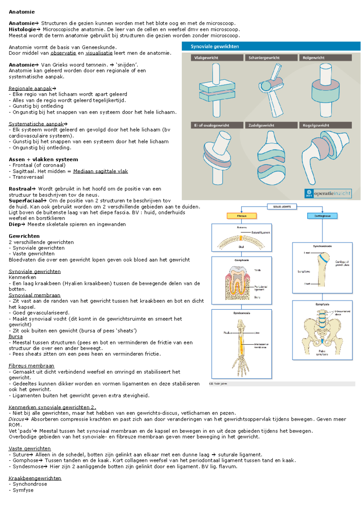 Anatomie - Samenvatting Vorm En Functie - Anatomie Structuren Die ...