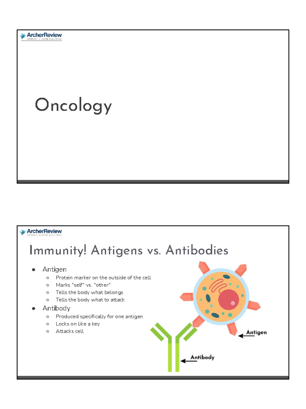 E795295 f bb09 47b0 ac72 0c7504591 acb Oncology Immunity! Antigens vs