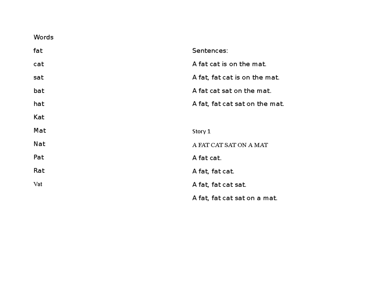 Beginning Reading Guide ( Booklet ) Words fat cat sat bat hat Kat Mat