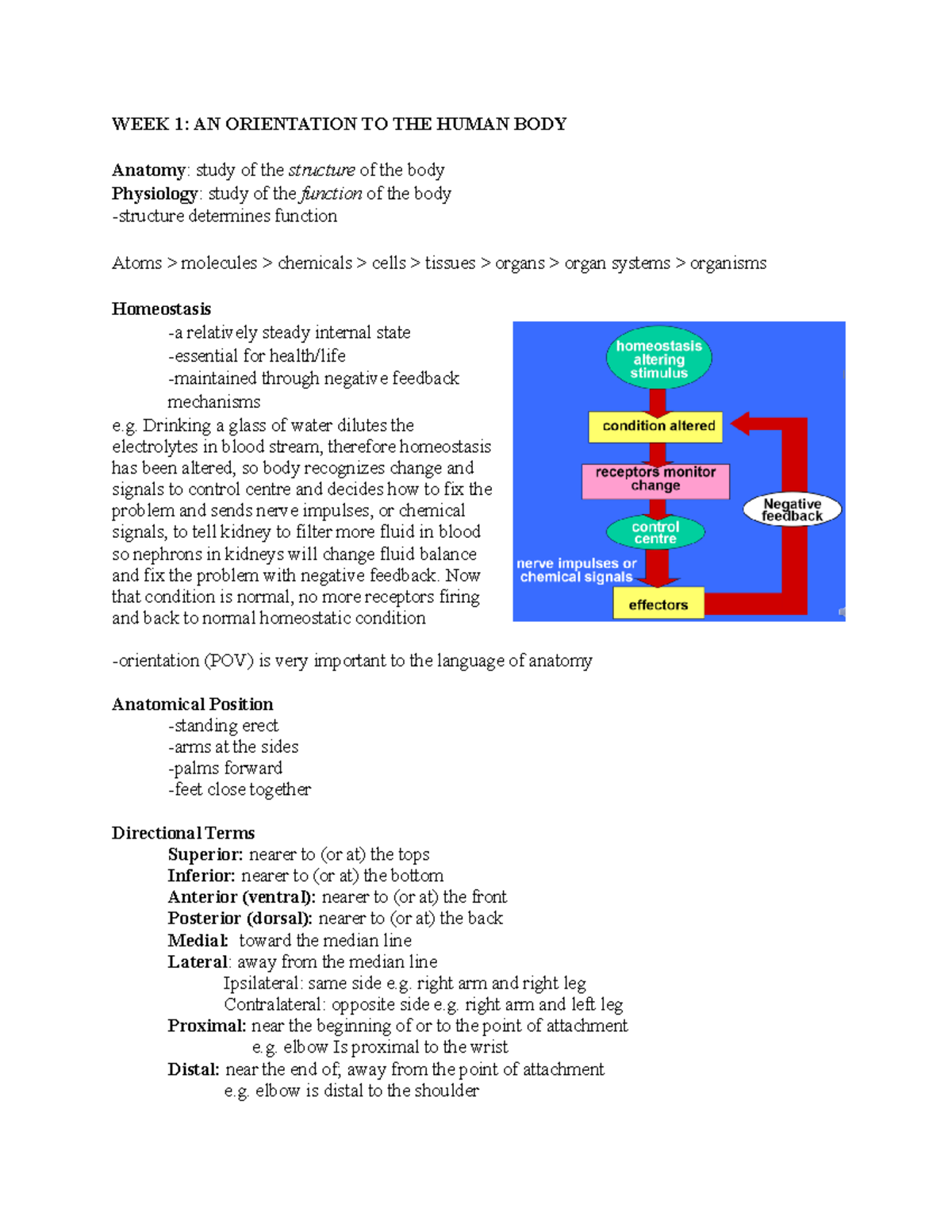 Week 1 Notes - Lectures week 1 - WEEK 1: AN ORIENTATION TO THE HUMAN ...