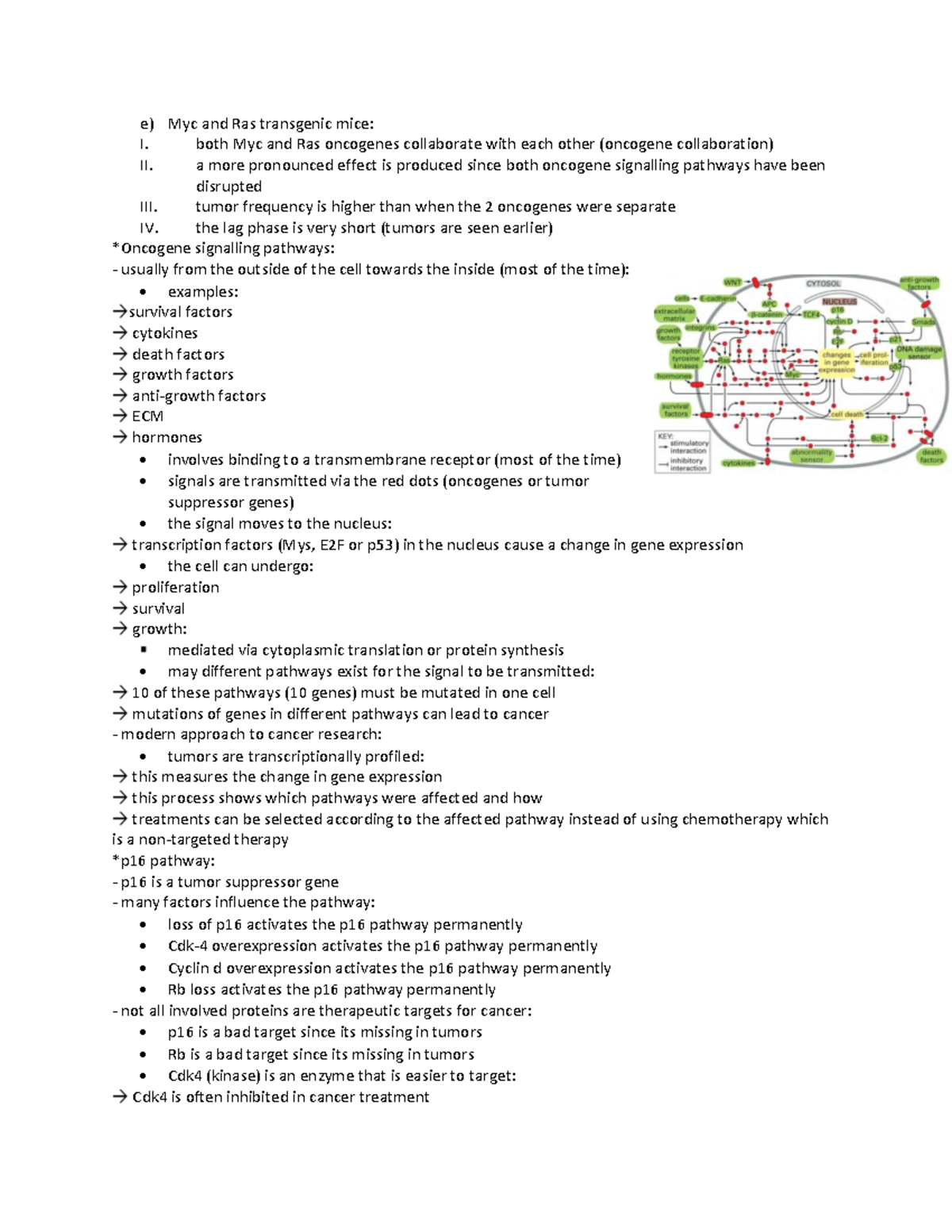 ANAT/BIOC 212 Lecture N (5) notes - e) Myc and Ras transgenic mice: I ...